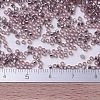 MIYUKI Delica Beads SEED-X0054-DB0146-4