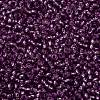 TOHO Round Seed Beads SEED-XTR11-2219-2
