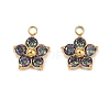 304 Stainless Steel Micro Pave Cubic Zirconia Charms STAS-B088-01G-03-1
