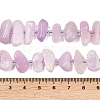 Natural Kunzite Beads Strands G-L657-E05-01-5