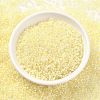 Cylinder Seed Beads SEED-H001-A08-4