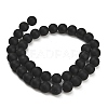 Natural Brazil Black Onyx(Dyed & Heated) Beads Strands G-Z024-01B-10mm-01-5