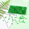 600Pcs Transparent Acrylic Charms TACR-FS0001-62-9