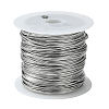 Non-Tarnish 316 Surgical Stainless Steel Wire TWIR-L004-01D-P-1