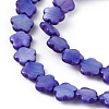 Natural Freshwater Shell Dyed Beads Strands SHEL-K001-001E-3