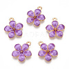 Zinc Alloy Enamel Pendants X-PALLOY-I124-10G-D-1
