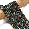Natural Indian Agate Beads Strands G-P608-A15-01-1