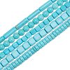 10 Strands 5 Style Synthetic Turquoise Beads G-OC0002-15-1