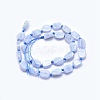 Natural Blue Lace Agate Beads Strands G-O170-20A-2