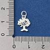 925 Sterling Silver Charms STER-NH0001-34S-3