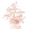 Natural Gemstone Chips and  Ceramic Vase Display Decorations DJEW-B007-01A-3