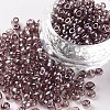 6/0 Glass Seed Beads SEED-A006-4mm-116-1
