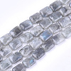 Natural Labradorite Beads Strands G-T121-13-2