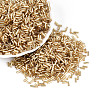 Glass Bugle Beads SEED-R011-22-1