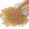 TOHO 8/0 Round Beads SEED-XTR08-0103B-1