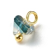 Electroplate Glass Charms PALLOY-JF00821-06-6