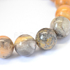 Natural Crazy Lace Agate Round Bead Strands X-G-E334-6mm-20-3