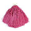 Polyester Tassel Decorations OCOR-Q023-04-1