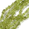 Natural Peridot Beads Strands G-P332-48-01-1