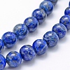 Natural Lapis Lazuli Beads Strands G-P335-09-8mm-3