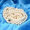 Round Shell Pearl Bead Strands BSHE-L011-6mm-A013A-2