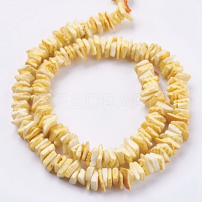 Natural Sea Shell Beads Strands BSHE-K012-08B-1
