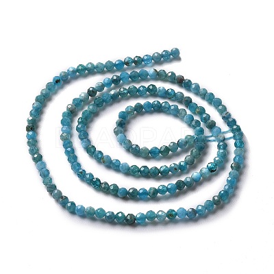 Natural Apatite Beads Strands G-E411-36-2mm-01-1