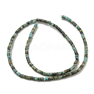Natural African Turquoise(Jasper) Beads Strands G-C084-D03-02-1