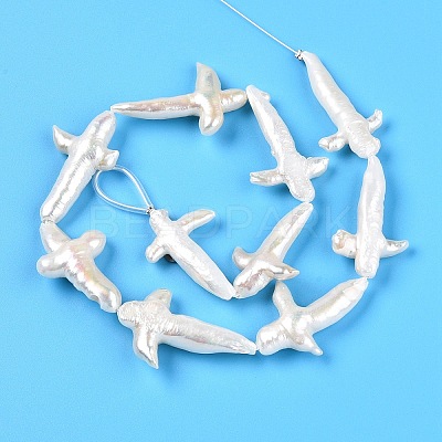 Natural Keshi Pearl Beads Strands PEAR-S020-M04-1