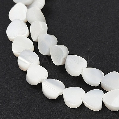 Natural Trochid Shell/Trochus Shell Beads Strands SSHEL-K012-04A-1