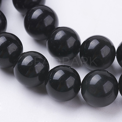 Natural Obsidian Beads Strands G-G099-10mm-24-1