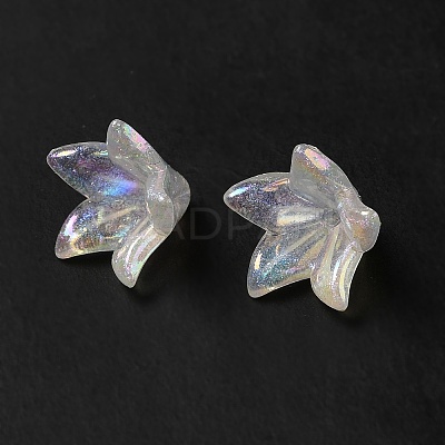 Transparent Acrylic Bead Caps LS-X-OACR-H016-03-1