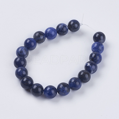 Natural Sodalite Beads Strands G-G515-10mm-07-1