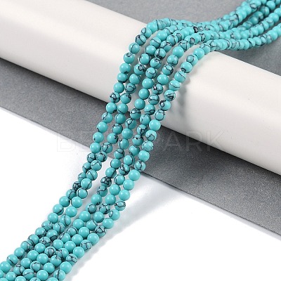 Synthetic Turquoise Beads Strands G-U004-02B-1