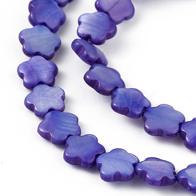 Natural Freshwater Shell Dyed Beads Strands SHEL-K001-001E-1