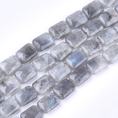 Natural Labradorite Beads Strands G-T121-13-1
