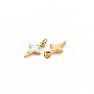 Ion Plating(IP) 304 Stainless Steel Charms X-STAS-N097-189-1