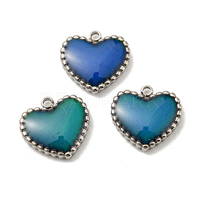 304 Stainless Steel Enamel Charms STAS-L022-094P-1