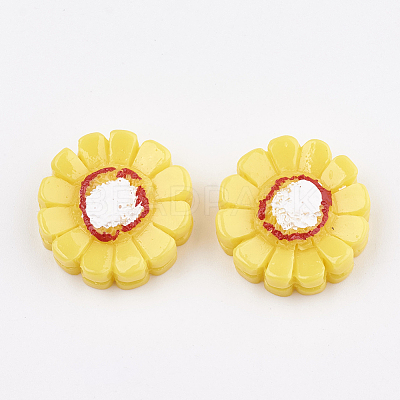Resin Cabochons CRES-S358-20-1