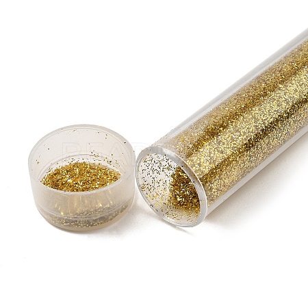 Plastic Glitter Powder Fillers LS-AJEW-H144-01A-1