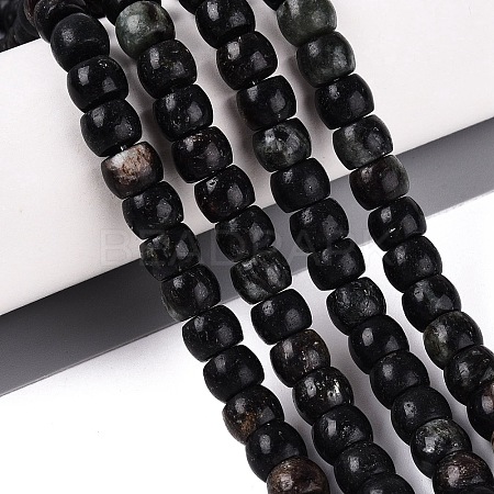 Natural Biotite Beads Strands G-Q616-02A-12-1