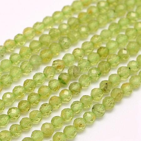 Natural Peridot Beads Strands G-F509-12-3mm-1