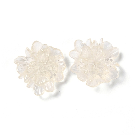Transparent Resin Cabochons LS-RESI-G027-01A-1