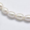 Natural Cultured Freshwater Pearl Beads Strands PEAR-F007-73-3