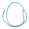 Synthetic Turquoise Beads Strands G-F752-A01-3