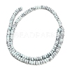Synthetic Turquoise Beads Strands G-Z110-B01-2x4mm-01-3
