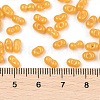 Baking Paint Glass Seed Beads SEED-L011-09A-22-4