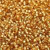 Glass Seed Beads SEED-S042-04B-12-3