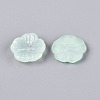 Transparent Spray Painted Glass Beads GLAA-Q089-003-E001-1-2