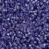 MIYUKI Round Rocailles Beads SEED-X0056-RR0649-4